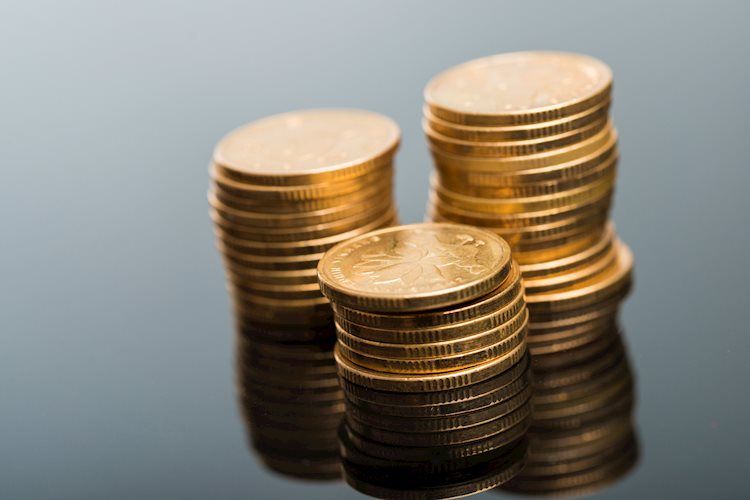 World Bank Trims 2020 Growth Forecast Cites Slow Recovery In Trade Investment Fxstreet