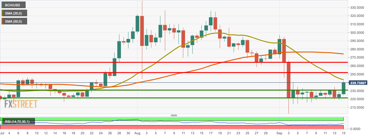 BCH/USD daily chart