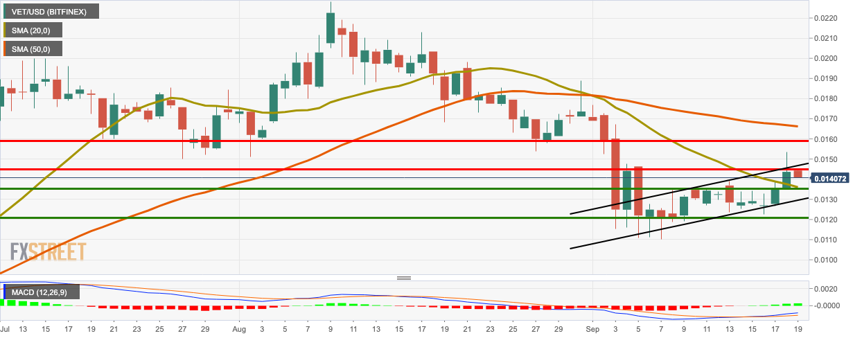 VET/USD daily chart