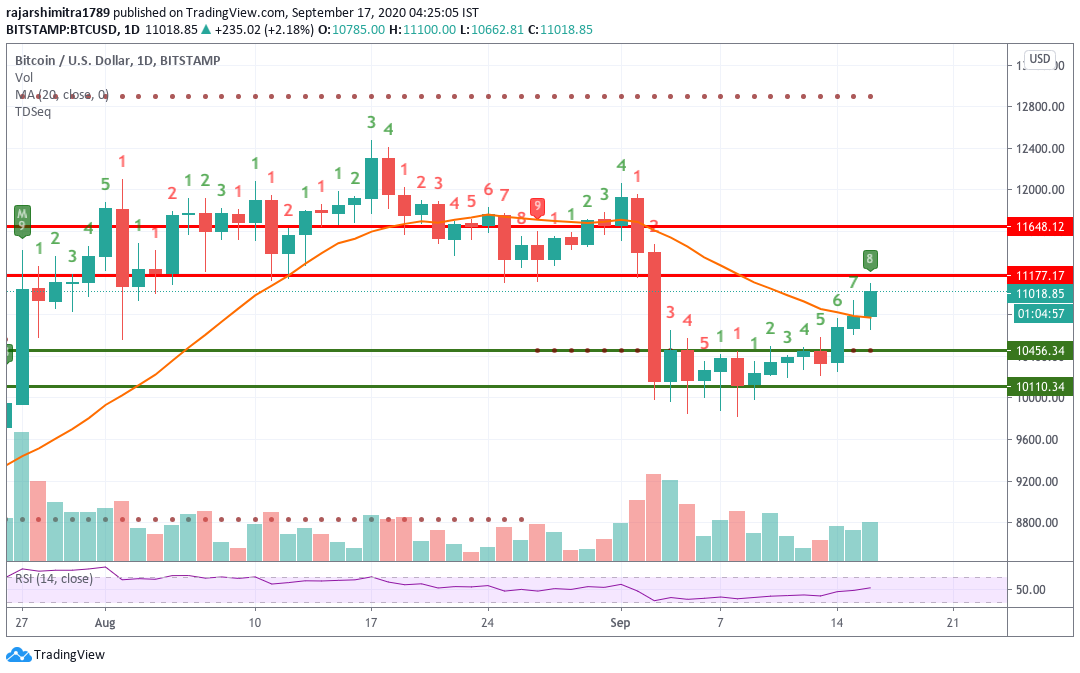 BTC/USD daily chart