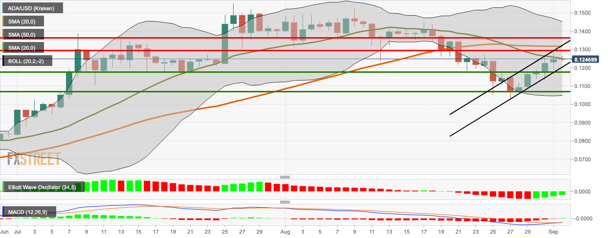 ADA/USD daily chart