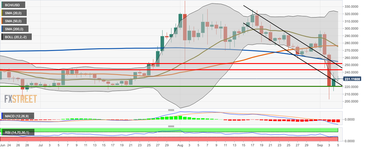 BCH/USD daily chart