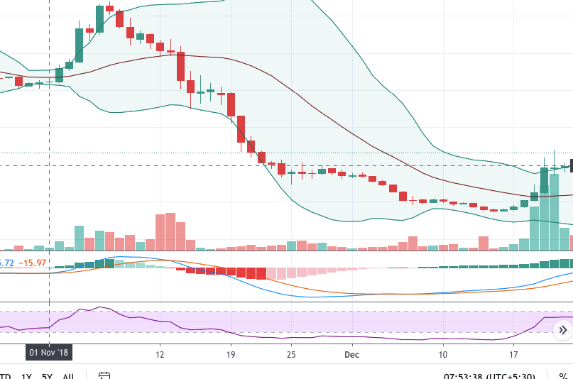 BCH/USD daily chart