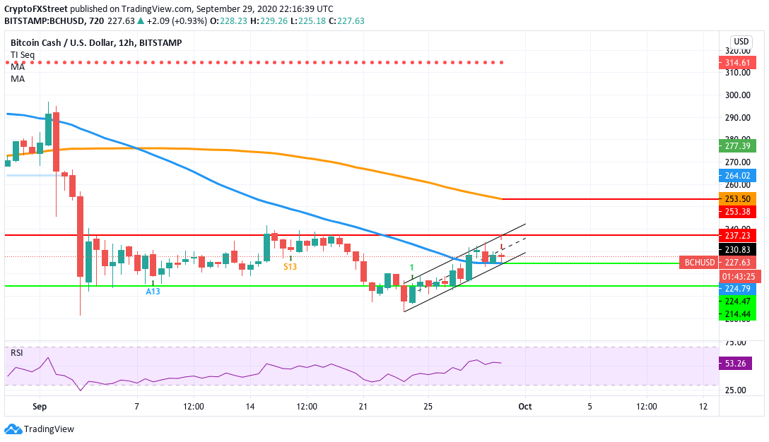 bchusd 12-hour chart