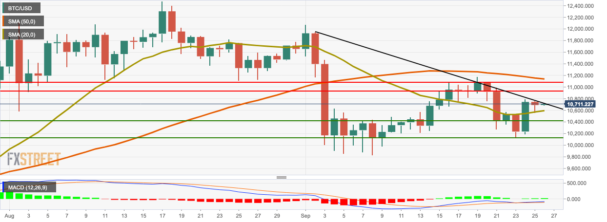 btcusd daily chart