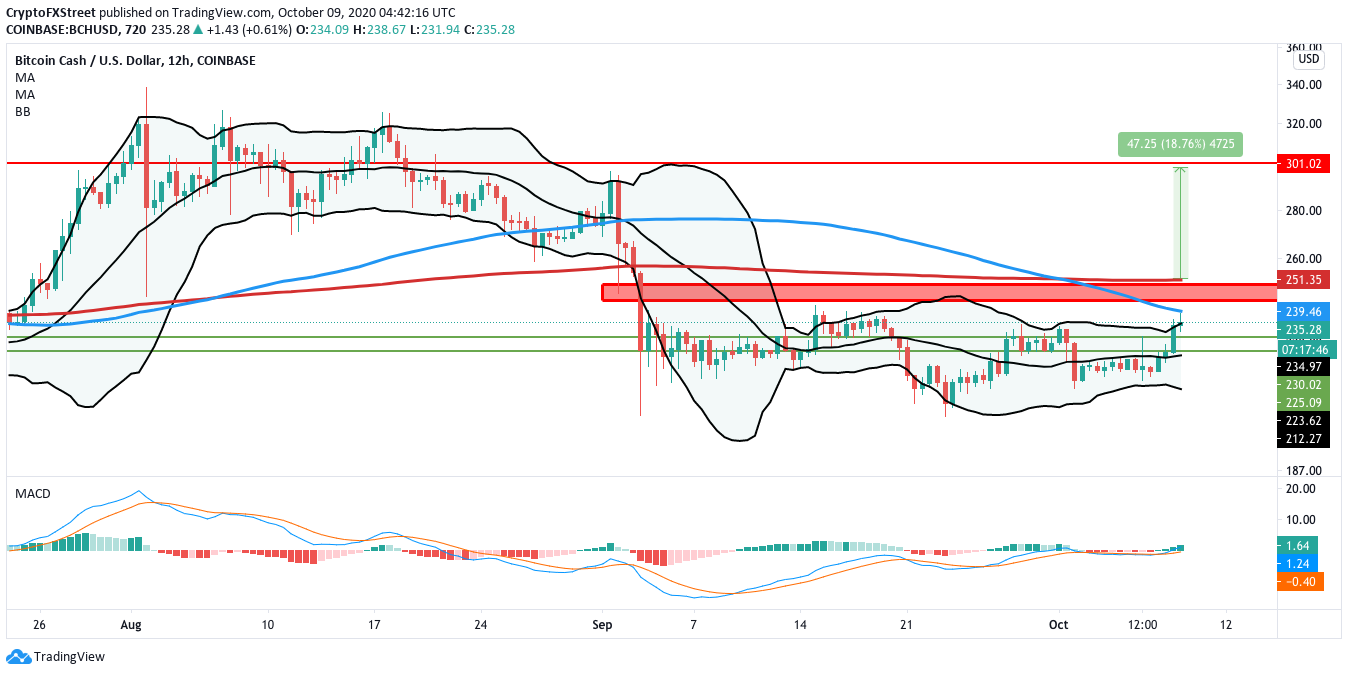 BCH/USD daily chart