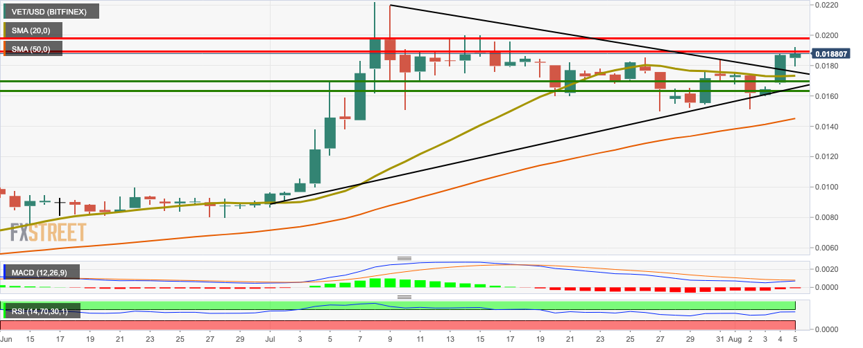 Vet Usd Chart Spg Pack Com