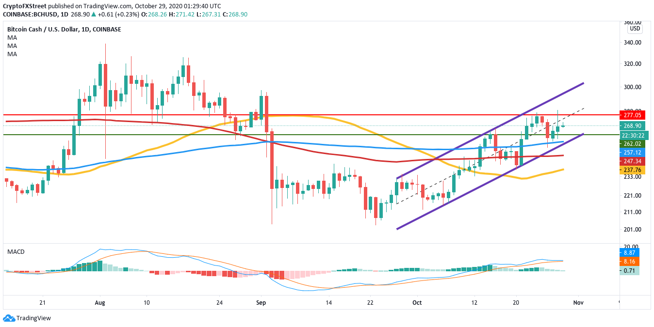 BCHUSD daily chart